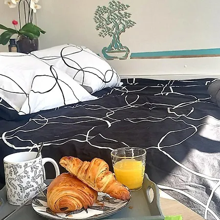 Apartment Parking Prive Rer Cdg Villepinte Paris
