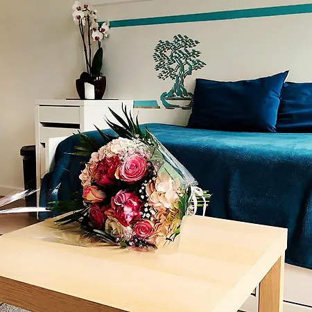 Parking Prive Rer Cdg Villepinte Paris Apartment